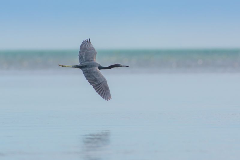 A Birdwatcher's Haven