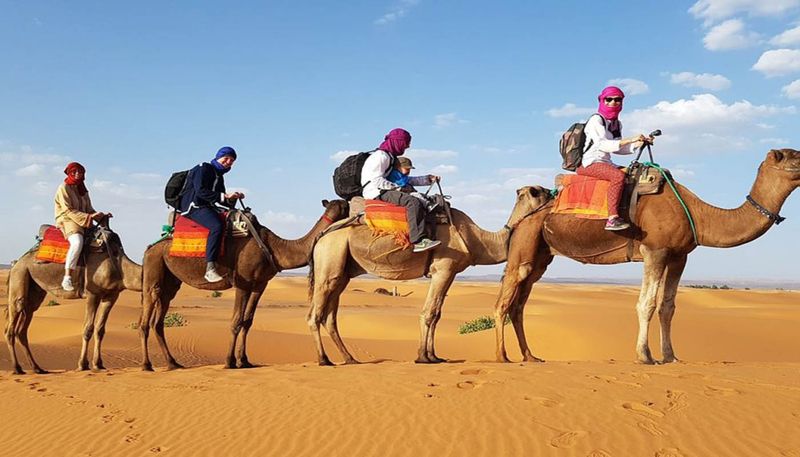 Desert Tours Can Be Hit or Miss
