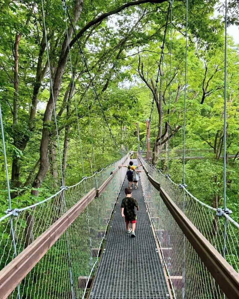 The Holden Arboretum Canopy Walk & Emergent Tower