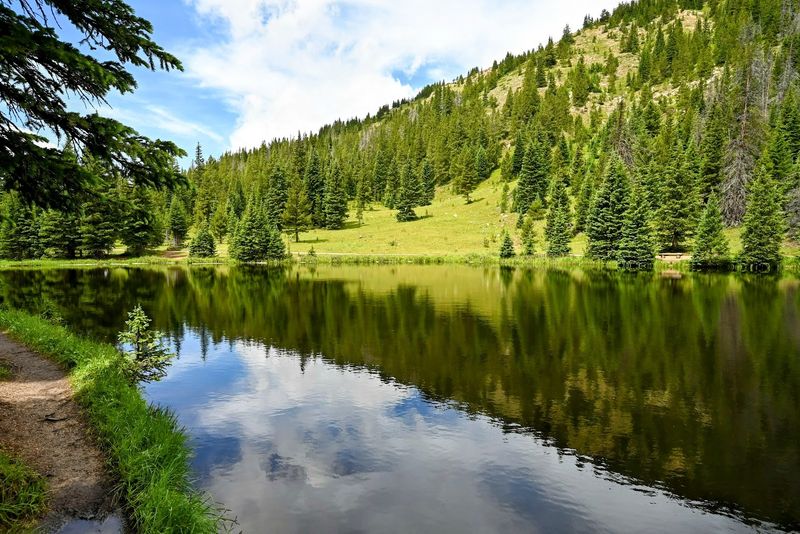 Lake Irene Loop near Milner Pass