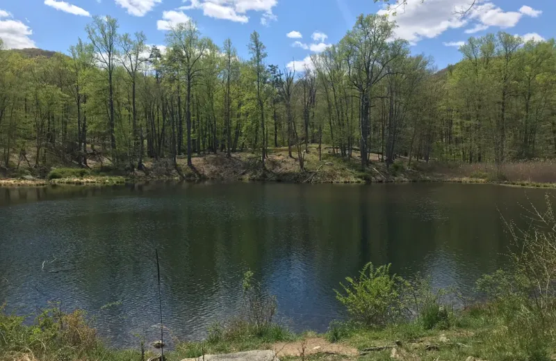 Doodletown – Appalachian Trail (Near Bear Mountain), New York