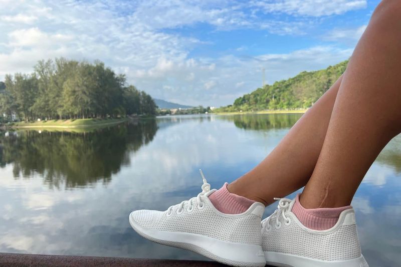 Allbirds Tree Runners
