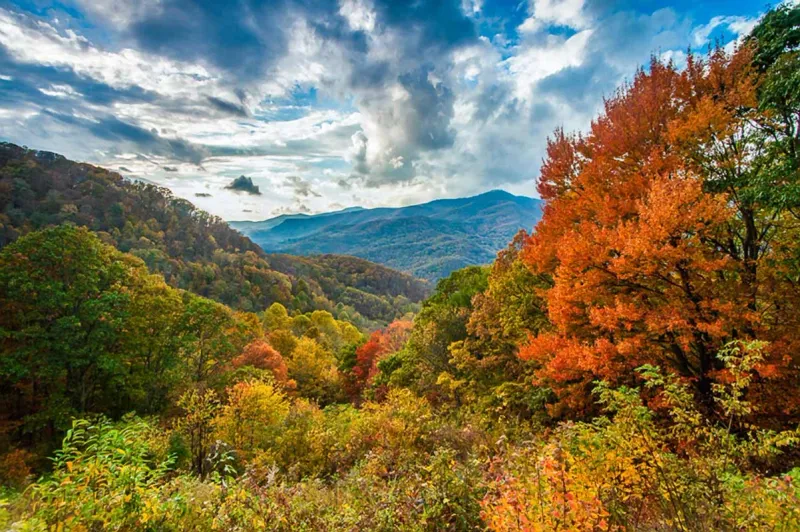 Blue Ridge Parkway: Virginia to North Carolina