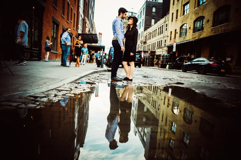 Harness Reflections and Shadows