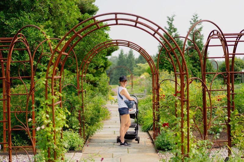 UPPAbaby Minu V2