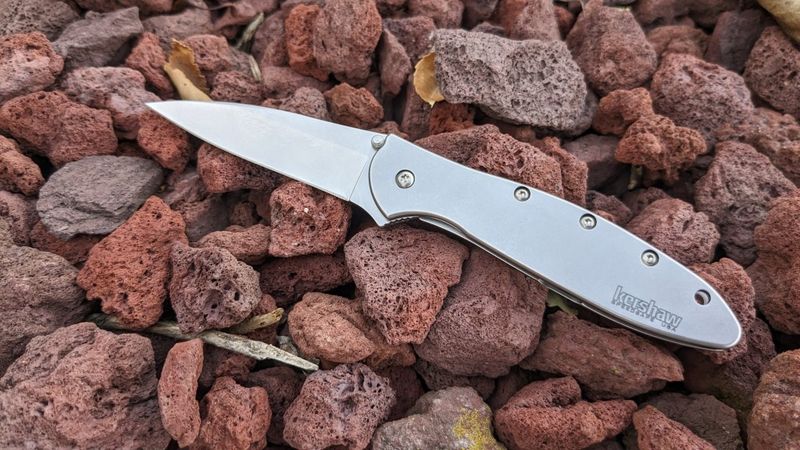 Kershaw Leek - Best All-Around EDC Knife