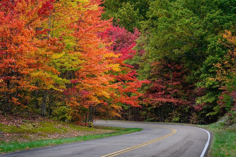 Skyline Drive: Shenandoah National Park, Virginia