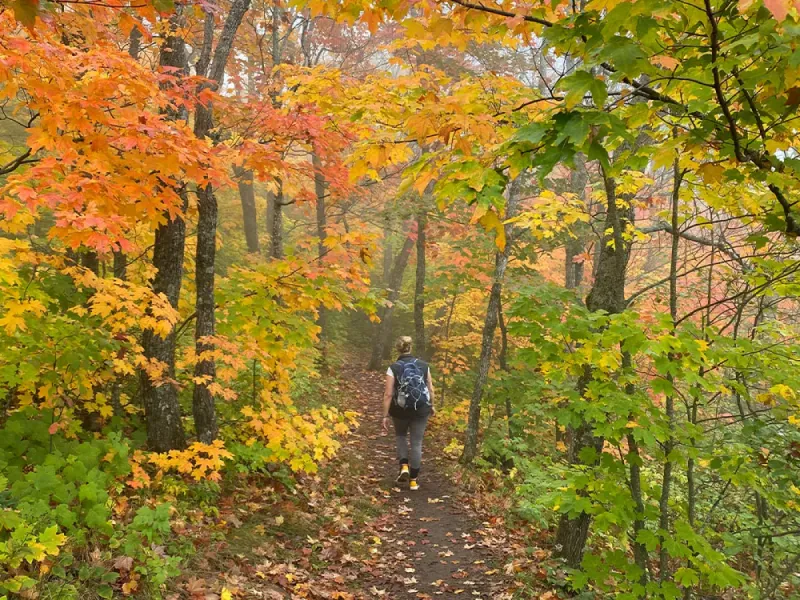 Binoculars for Leaf Peeping and Wildlife