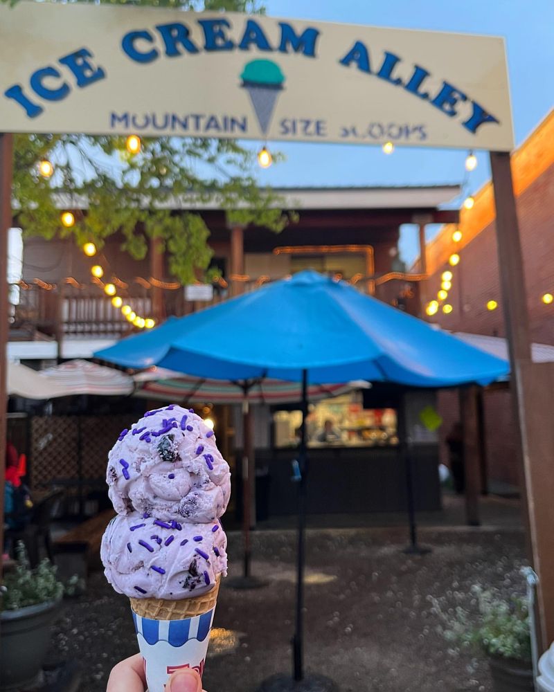 Ice Cream Alley (McCall) — the classic scoop stop