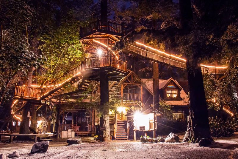 Sleep Among the Trees at Out'n'About Treehouse Resort