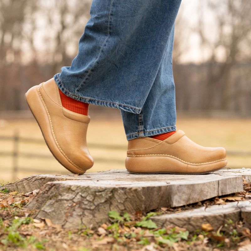 Dansko Professional Clogs
