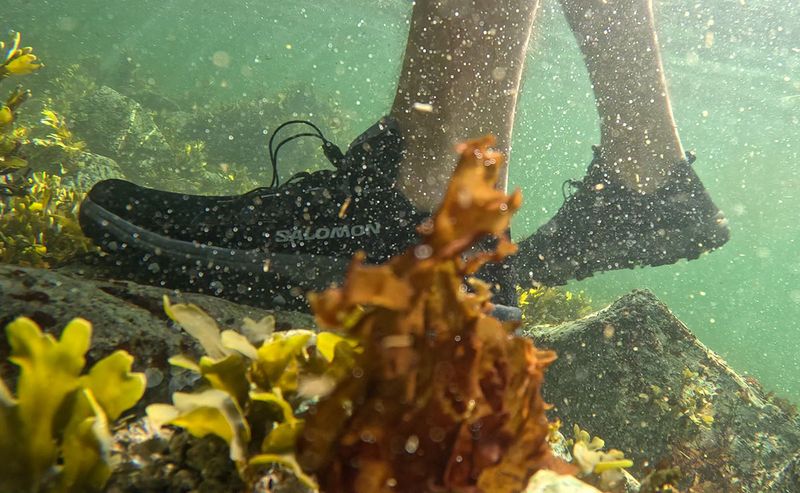 Salomon Techamphibian 5: The Quick-Draining Wonder