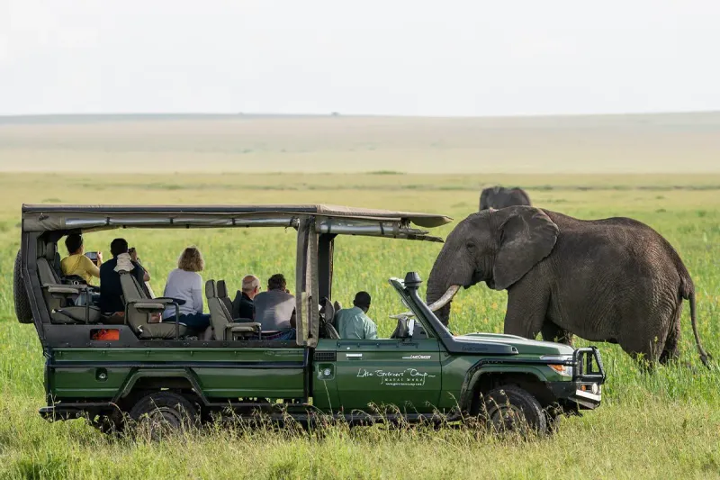 African Safari Adventures