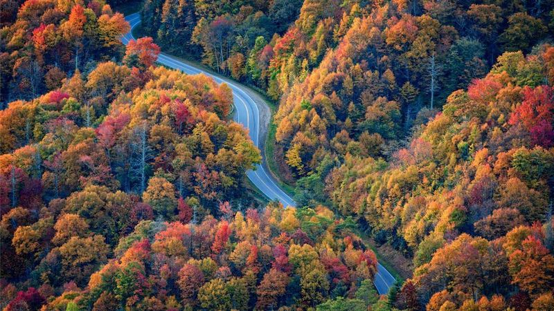 Great Smoky Mountains: Tennessee and North Carolina Border