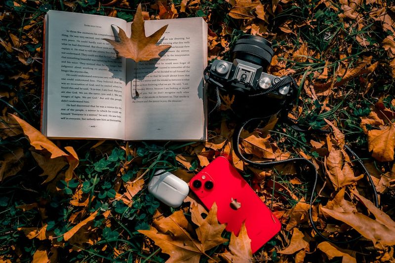 Camera or Smartphone with Good Camera