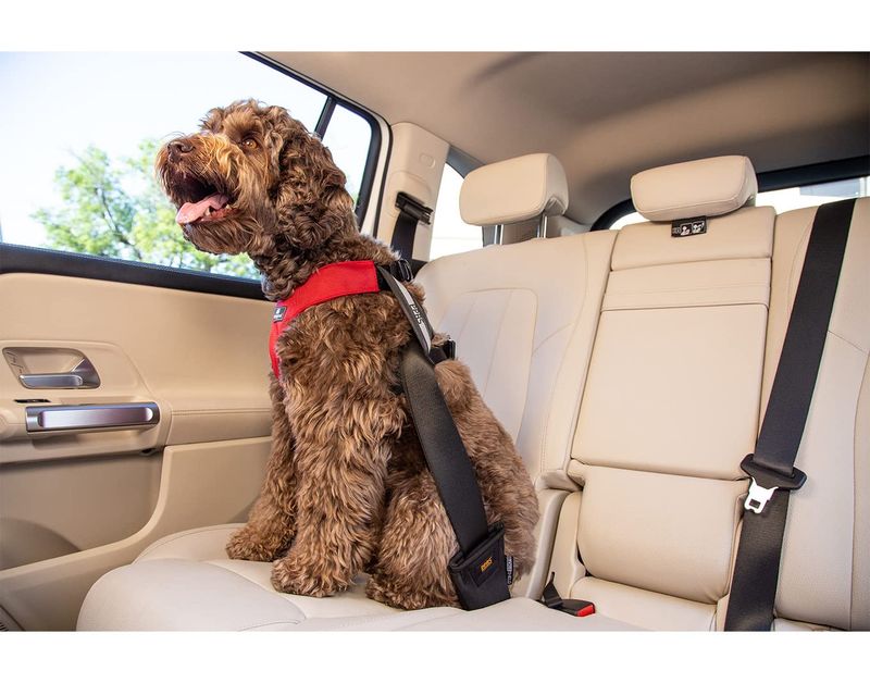 Sleepypod Clickit Car Harness