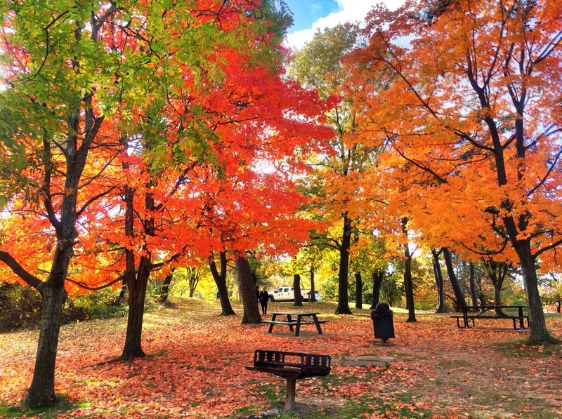 Use Alexandria as Your Base for Regional Leaf-Peeping Adventures