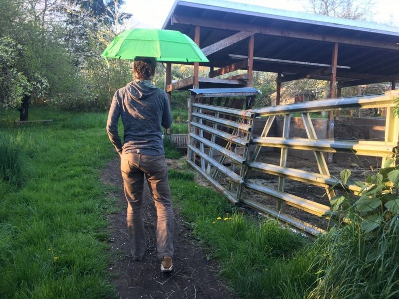 GustBuster Metro (43