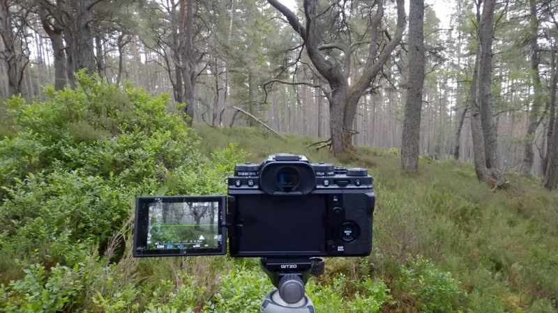Fujifilm X-T4