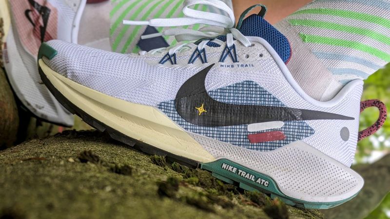 Nike Pegasus Trail 5 GTX