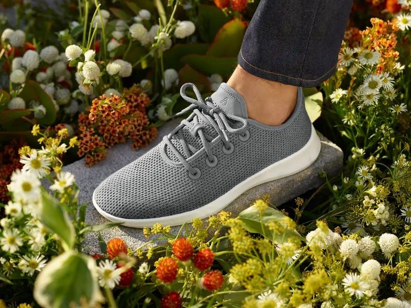 Allbirds Tree Runner