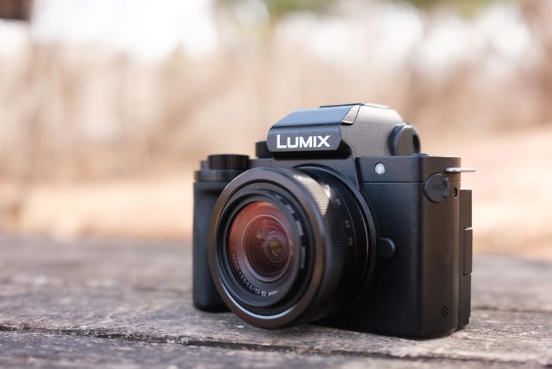 Panasonic Lumix G100 (Micro Four Thirds, travel-light)