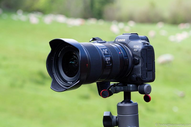 Canon EOS R Series (Entry-Level)