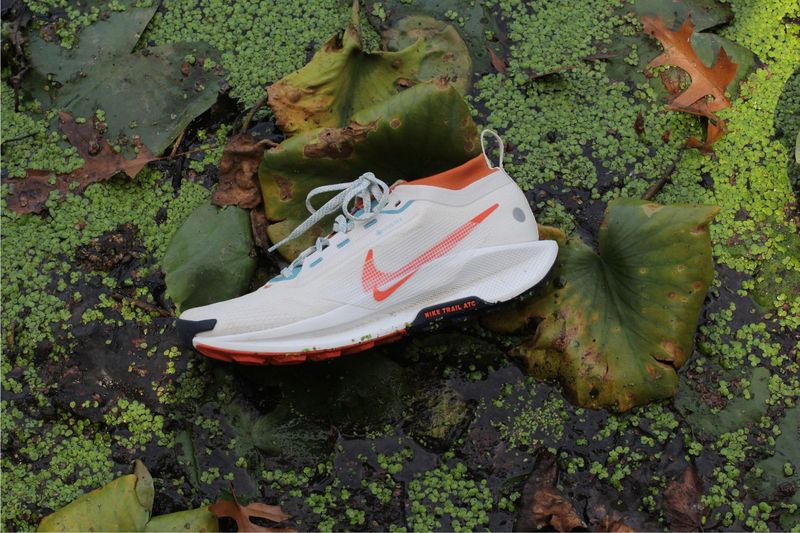 Nike Pegasus Trail 5 GTX