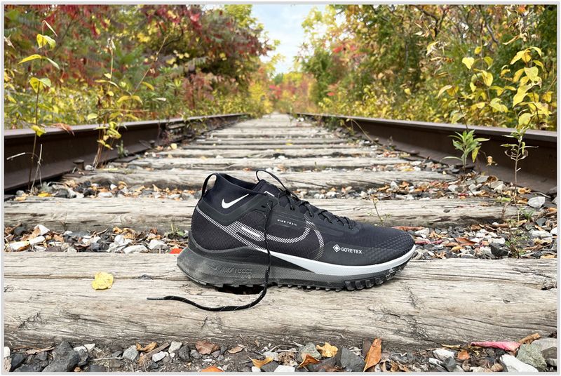 Nike Pegasus Trail 4 GTX — road-to-trail versatility