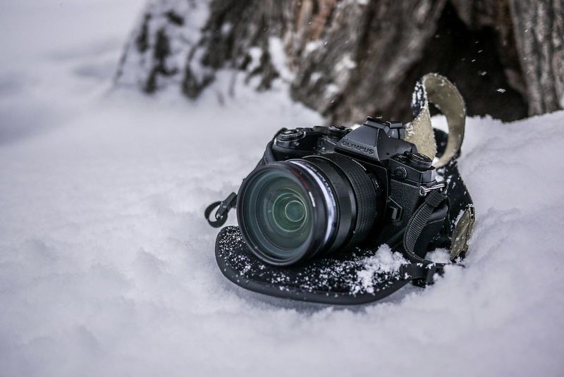 OM-D E-M1 Mark III