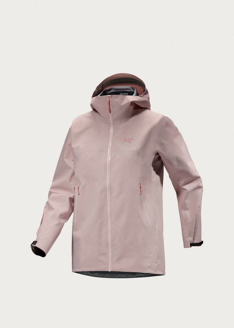 Arc'teryx Beta (GORE-TEX ePE) —
