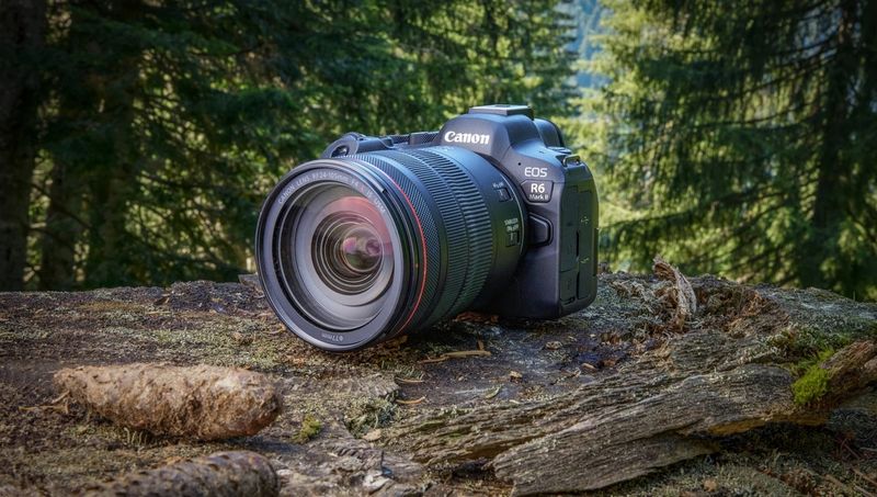 Canon EOS R6 Mark II — fast, stabilized, versatile