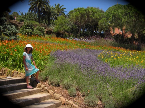 Flowers in Parc Guell | 4 days in Barcelona via wetriotravel