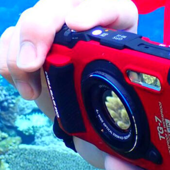 10 Best Point-and-Shoot Cameras for Adventure Photography