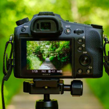 10 Best Travel-Friendly Cameras for Capturing Wildlife on the Go