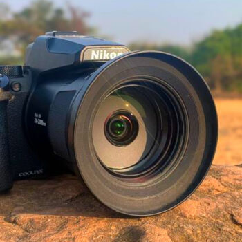 10 Cameras with Incredible Zoom Lenses Perfect for Safari and Wildlife Trips
