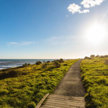 10 Relaxed Ocean View Stops Near Cambria For Your Next Drive