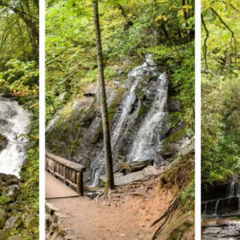 12 Beginner Trails in Great Smoky Mountains National Park