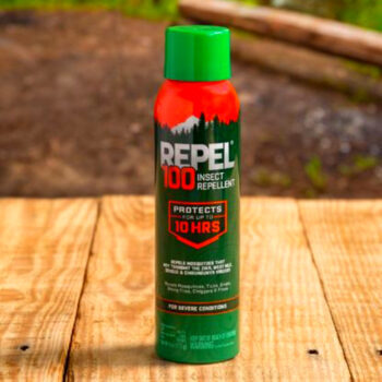 12 Best Insect Repellents for Tropical Trips