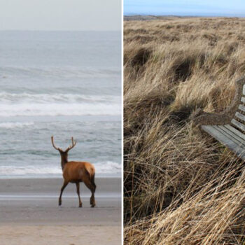13 Reasons Gearhart, Oregon Is the Coastal Town Everyone’s Talking About