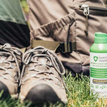 14 Mosquito Repellents That Work in Any Country