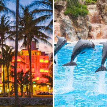 17 Marvelous Things You Must See and Do in Miami