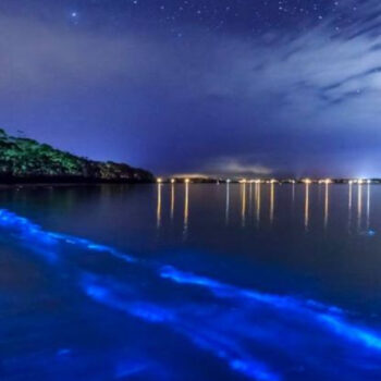 6 U.S. Islands That Don't Feel Like They're in America