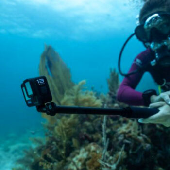 9 Best Compact Travel Cameras for Digital Nomads