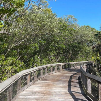 A Florida Backcountry Beach with No Cell Service and No Crowds