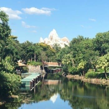 Are Disney VIP tours worth it