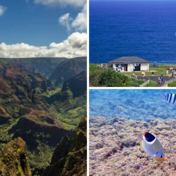 After Visiting Kaua’i, These 16 Experiences Stood Out the Most