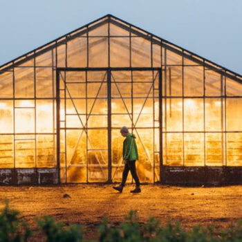 Alaska's Tok: Home to the Gateway Greenhouse—Powered by Old Sports Facilities