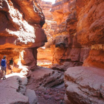 Arizona's Must-See Canyon Views Between Page and Marble Canyon