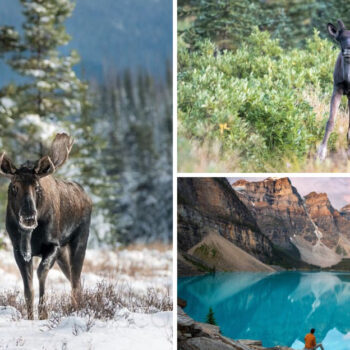 As an American, These Canadian Park Differences Took Me by Surprise